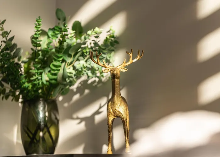 Dream Z Sauna I Jacuzzi Villa